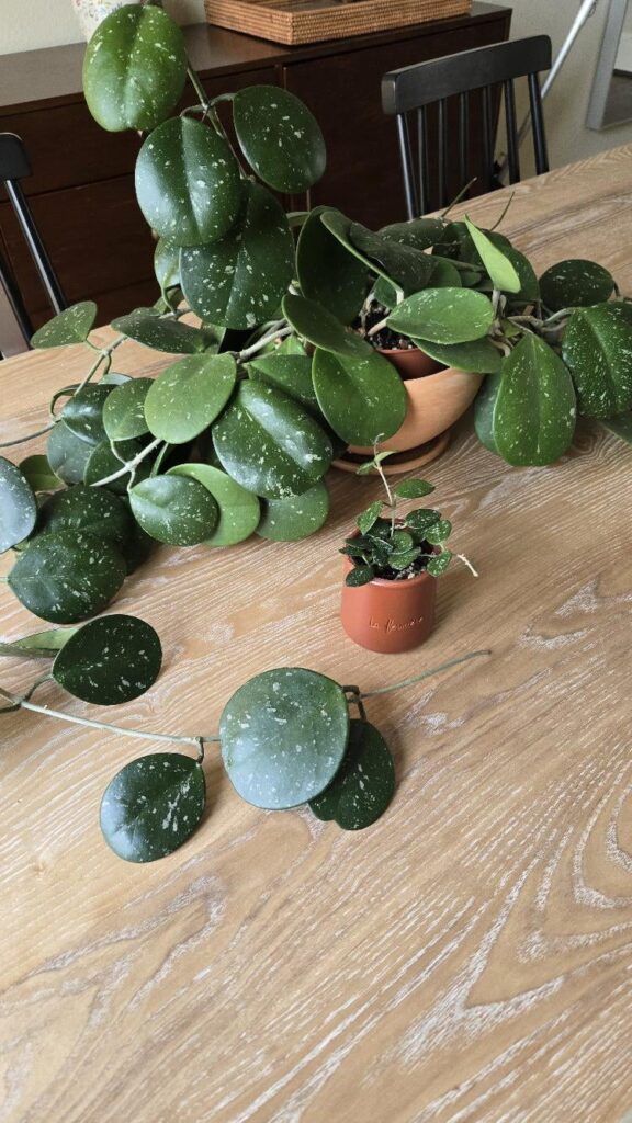 Don't talk to me or my son ever again