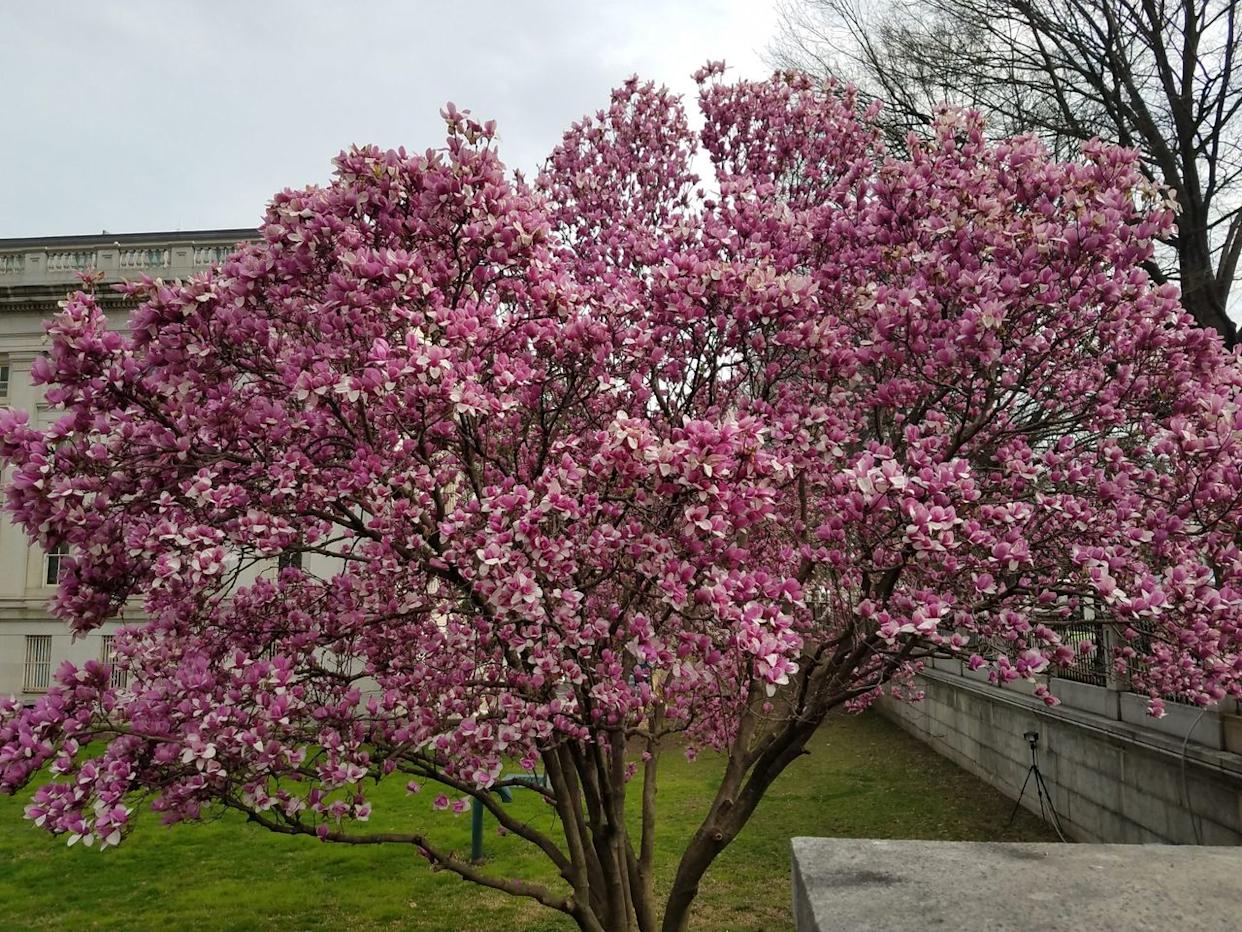 Credit: Ahmet K/Getty Images