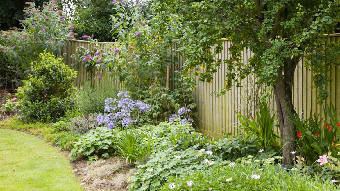 Don’t Wait for Spring—Do These 3 Things in Your Garden Now