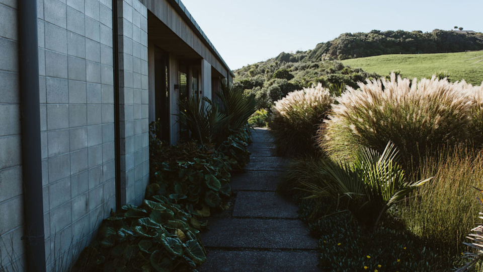 Beautiful exposed garden with a pathway surrounded by ornamental grasses .