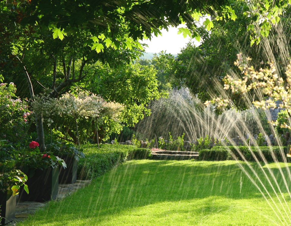 Watering garden Watering garden