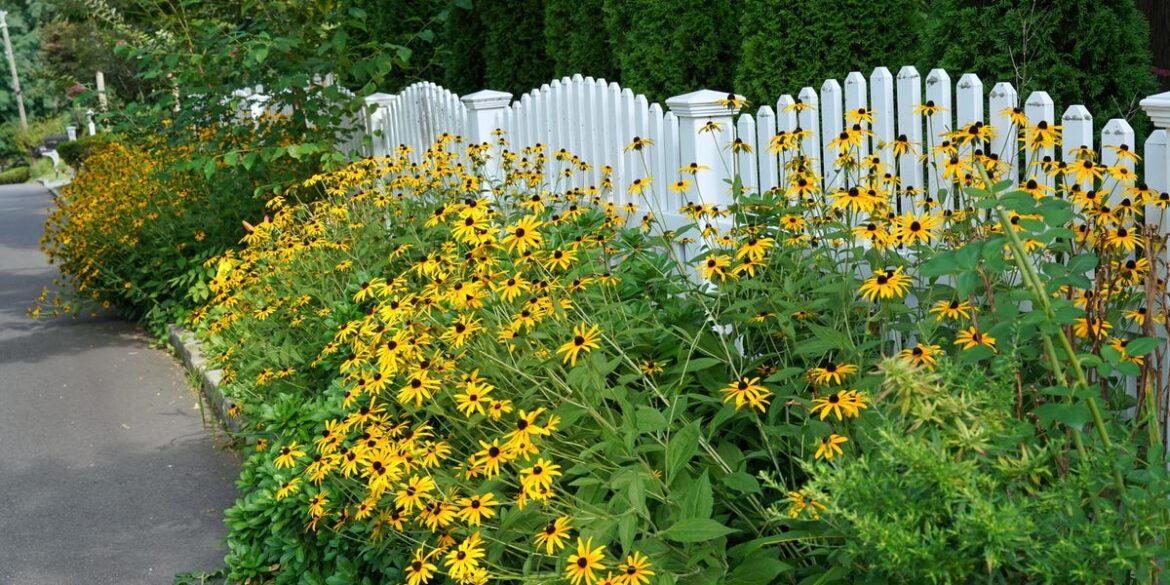 Long-Blooming Perennials for Months of Garden Color Long-Blooming Perennials for Months of Garden Color