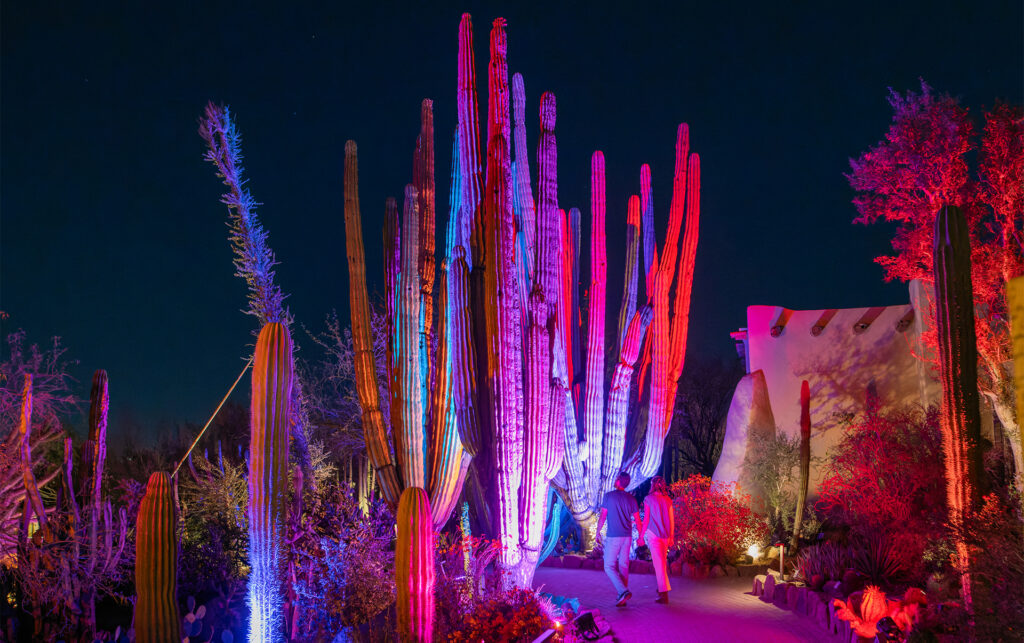 From Sunrise to Starlight: Experience the Garden Day and Night From Sunrise to Starlight: Experience the Garden Day and Night