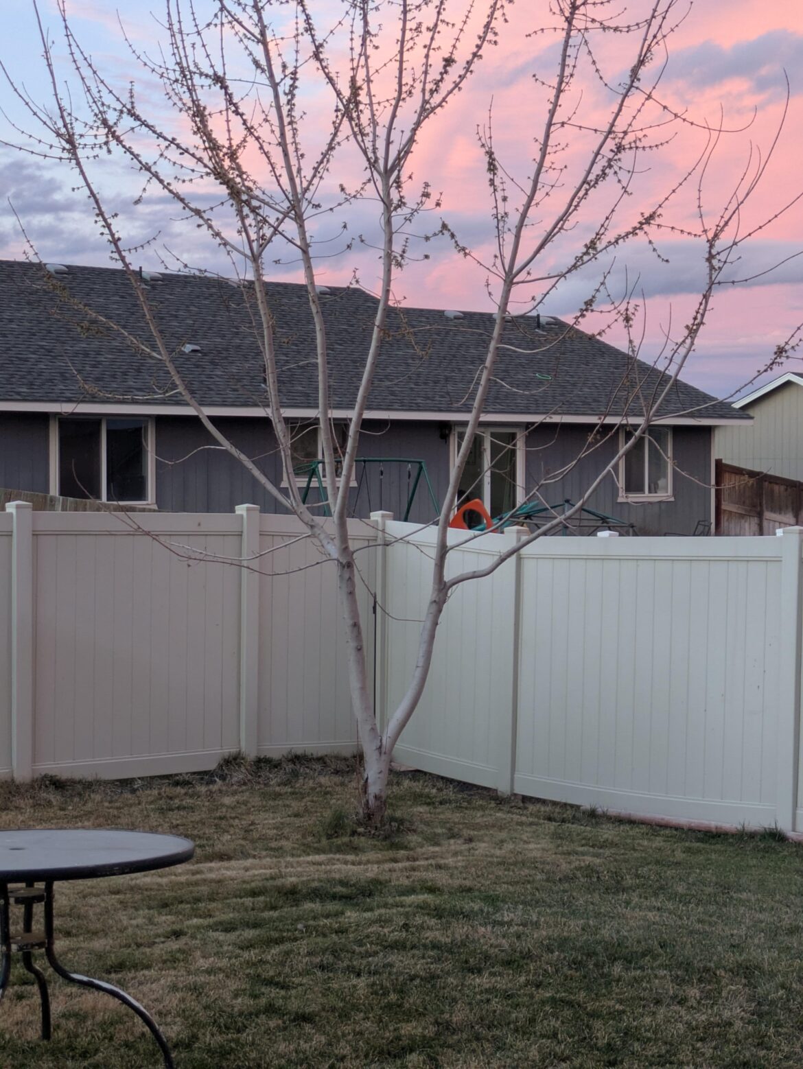 Should I be doing anything with this tree to make it last?