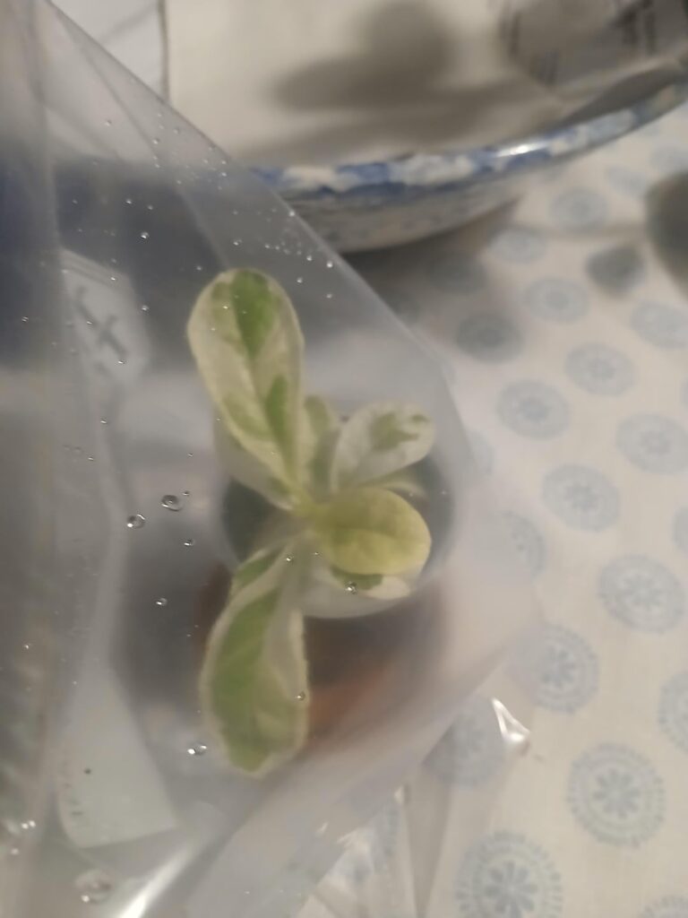 Guess who arrived in the mail today!! 😍😍😍❤️❤️❤️