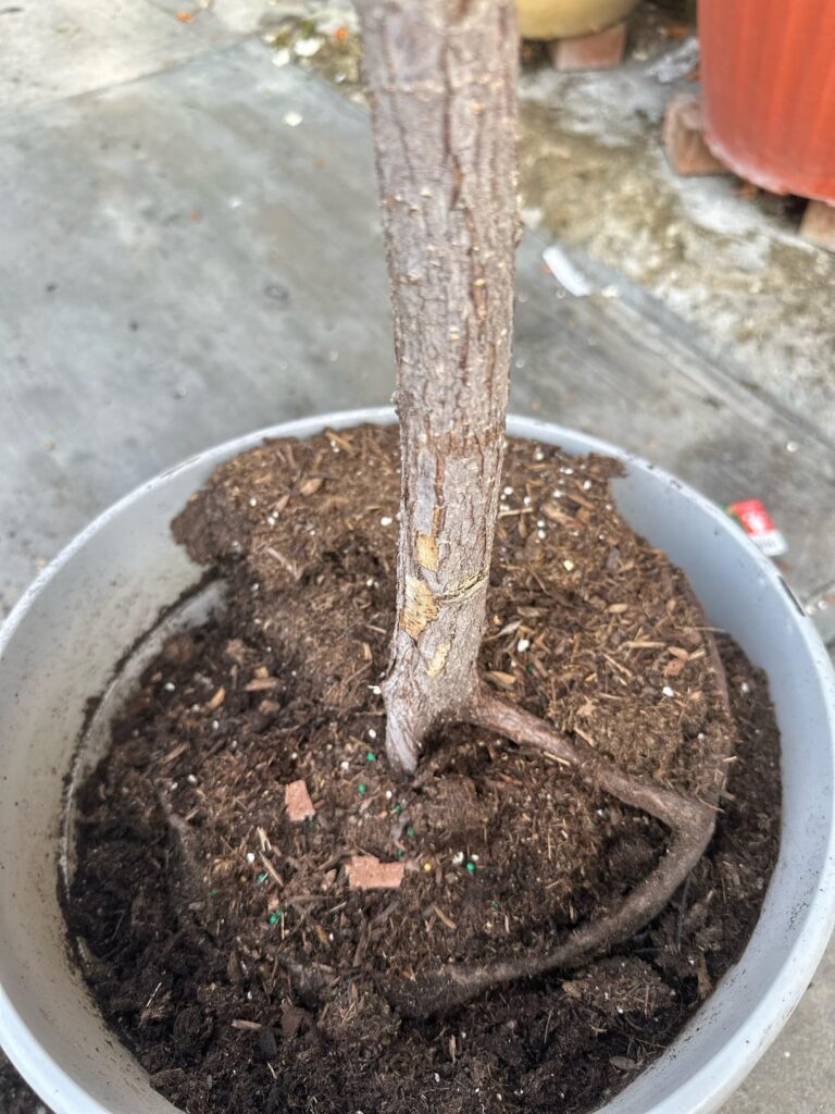Can I save it?