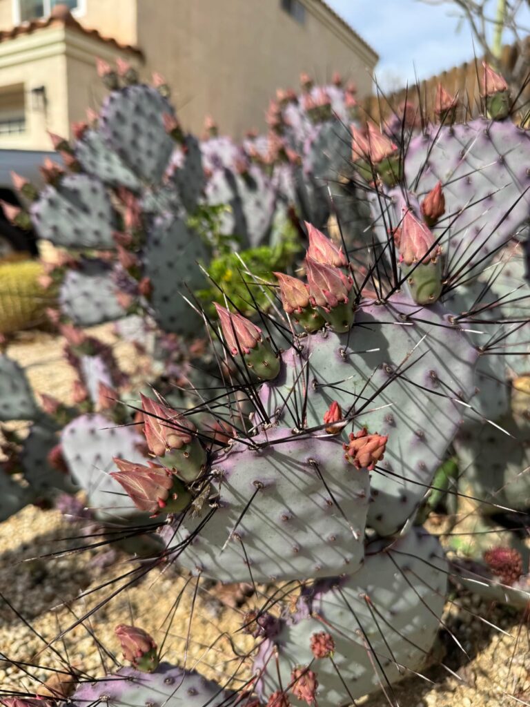 It’s about to go down