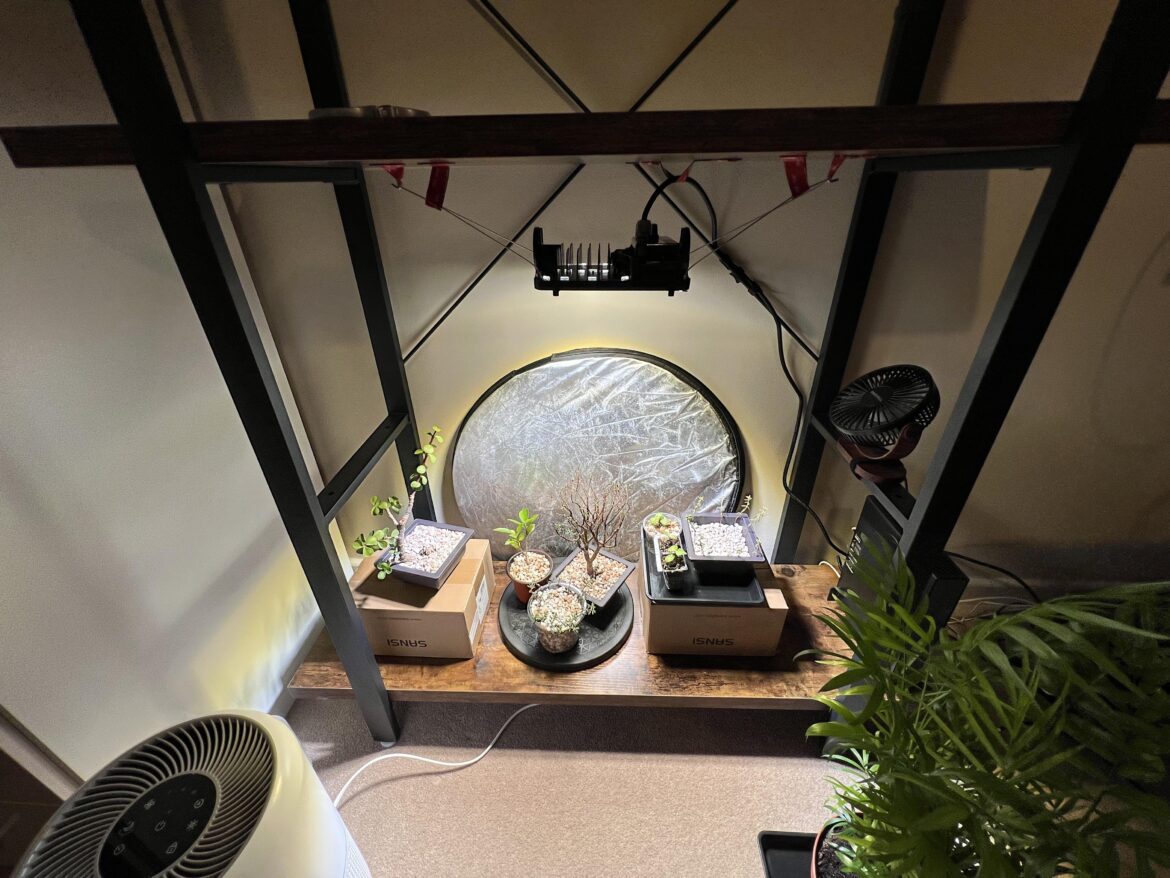 How to attach my lights properly?