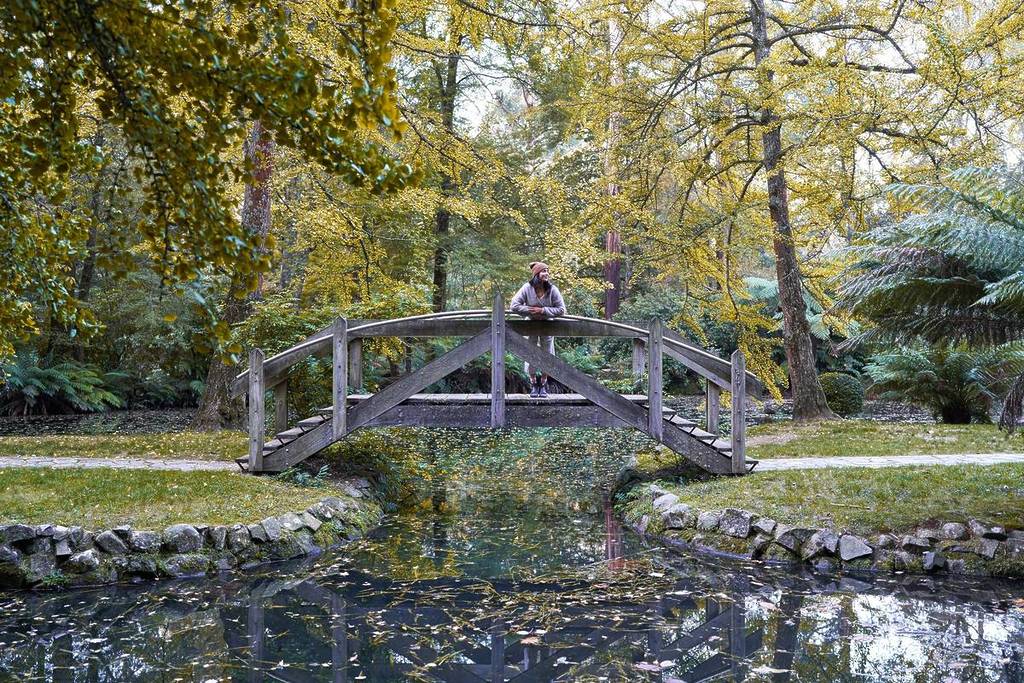 woman on a small bridge during autumn in Alfred Nicholas Memorial Gardens
