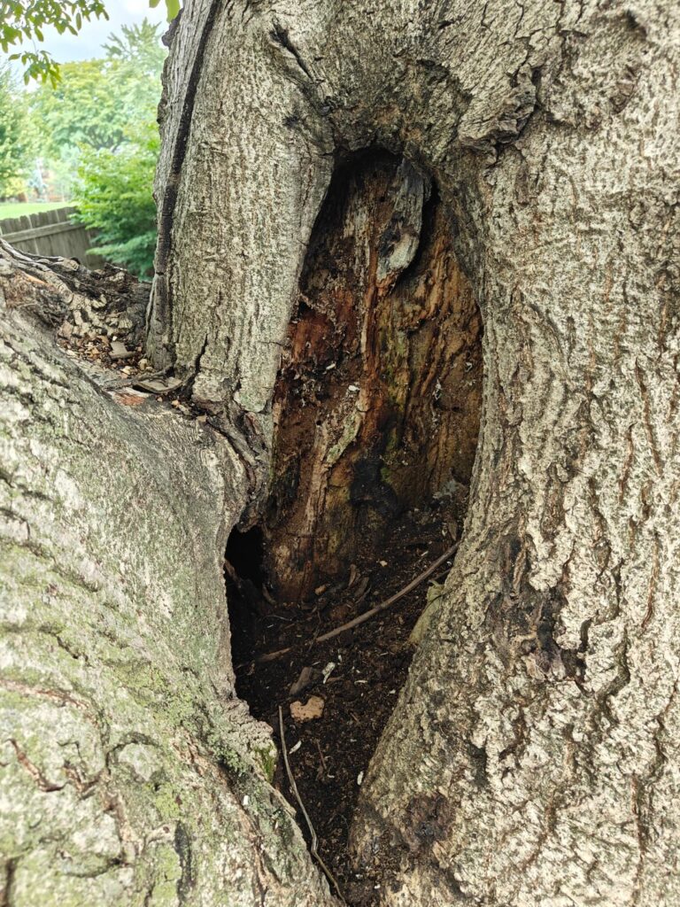 Should I be Concerned Should I be Concerned