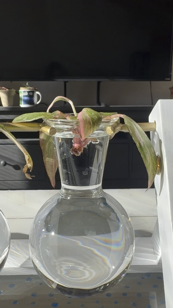 Am I propagating wrong?