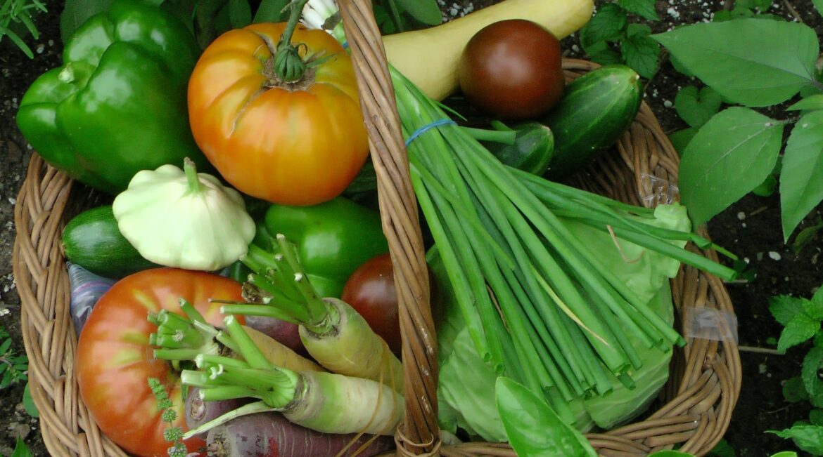 Join Illinois Extension’s Giving Garden Program