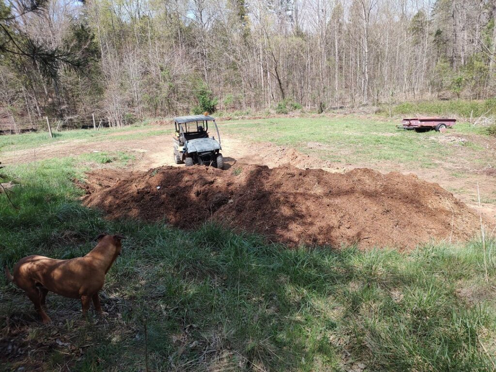 New.Getting manure from 2 barns. 1 uses sawdust and is frugal with it. The manure is 3 to 1 hay, manure, urine to sawdust. 2 uses wood shavings and is about 3 to 1 shavings vs manure and hay. The pile runs about 140-160 degrees. Turned yesterday. 2 mos. Look OK? New.Getting manure from 2 barns. 1 uses sawdust and is frugal with it. The manure is 3 to 1 hay, manure, urine to sawdust. 2 uses wood shavings and is about 3 to 1 shavings vs manure and hay. The pile runs about 140-160 degrees. Turned yesterday. 2 mos. Look OK?