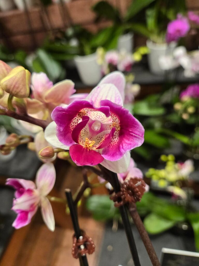 Love working mornings!