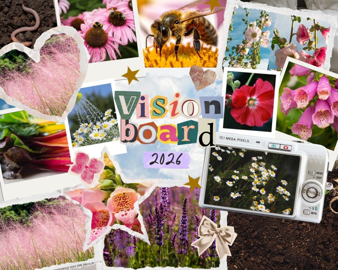 100 Tulip Bulbs And More