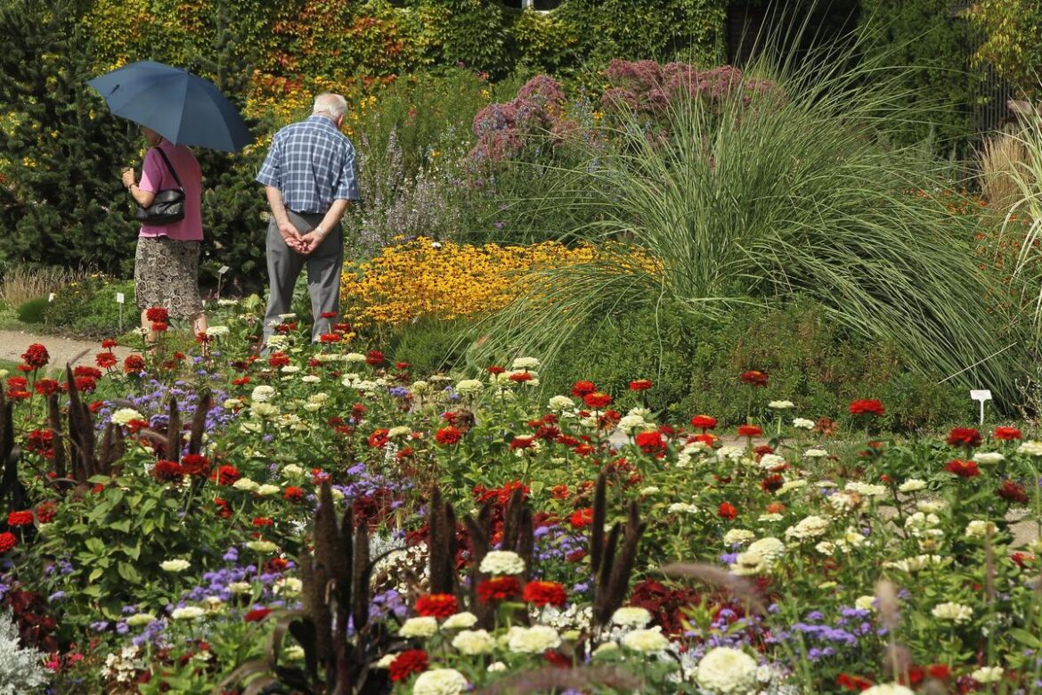 Tessa Muldoon's Journey To A National Wildlife Garden