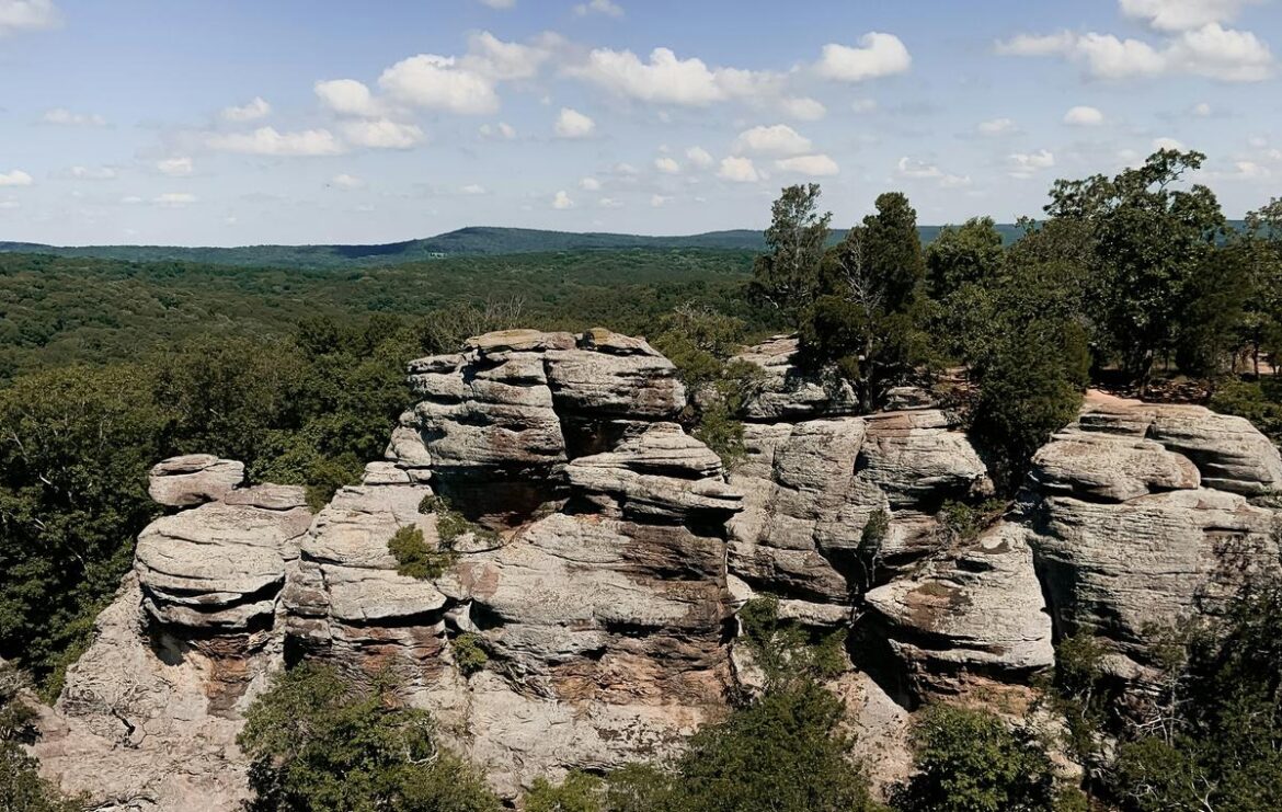 Best Natural Wonder to Visit in Illinois this Year is a Garden