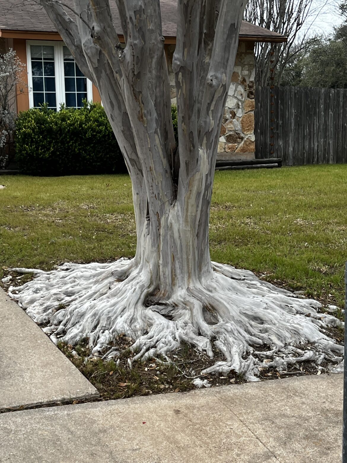 All that junk in the trunk