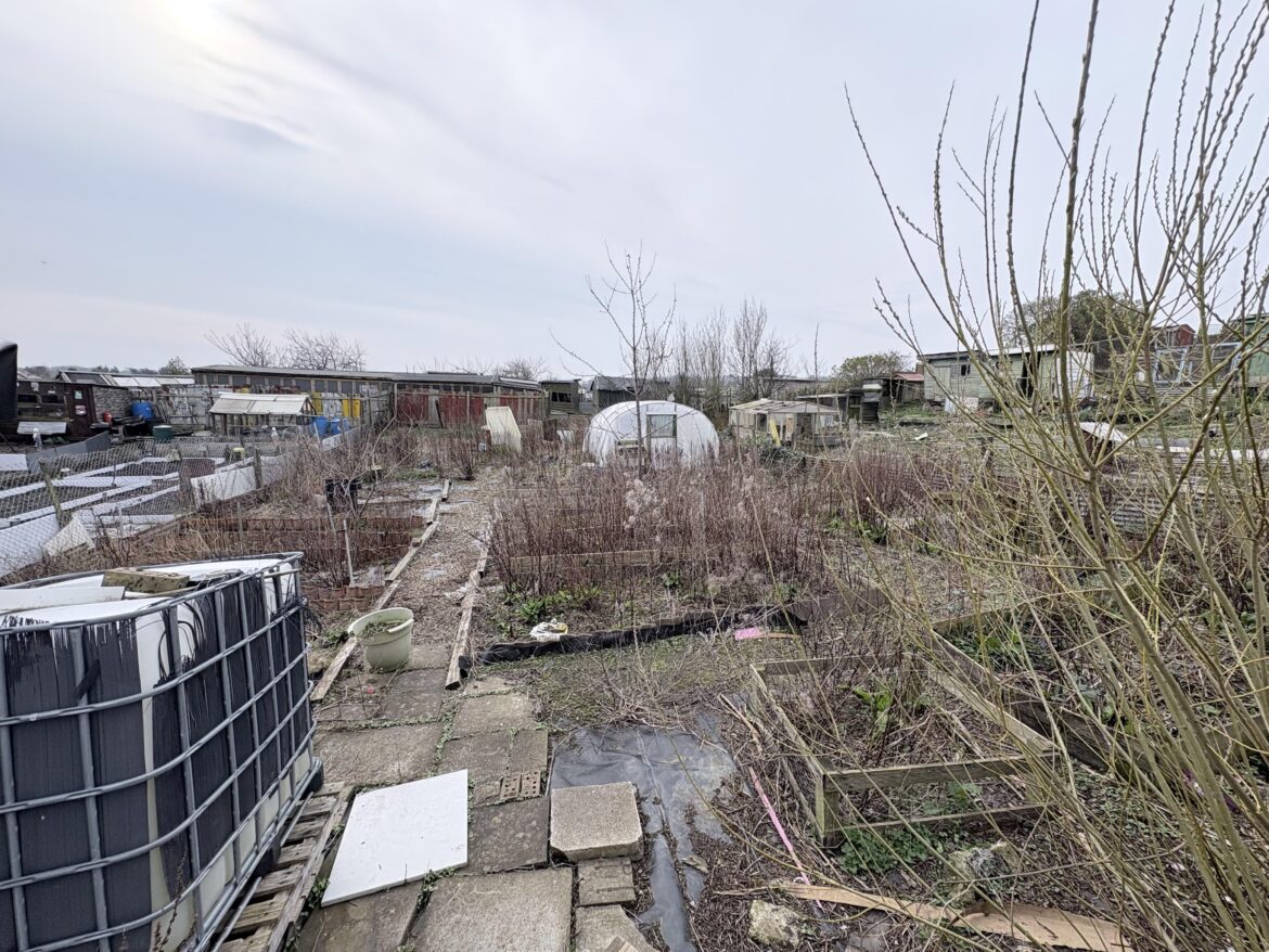 First time ever with an allotment. I’ve been told composting (and rain collection) are 2 necessary steps. So where/how do I begin? I’ll need the most beginner friendly help with how to compost.