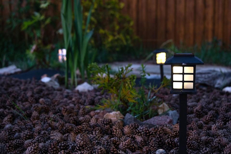 Credit: Ольга Симонова / Getty Images