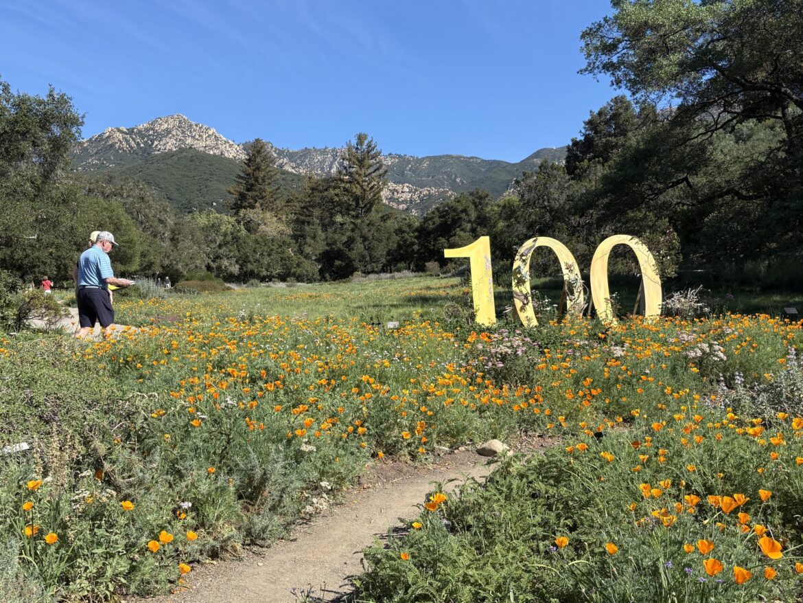 Riding high, the Botanic Garden celebrates 100 Years