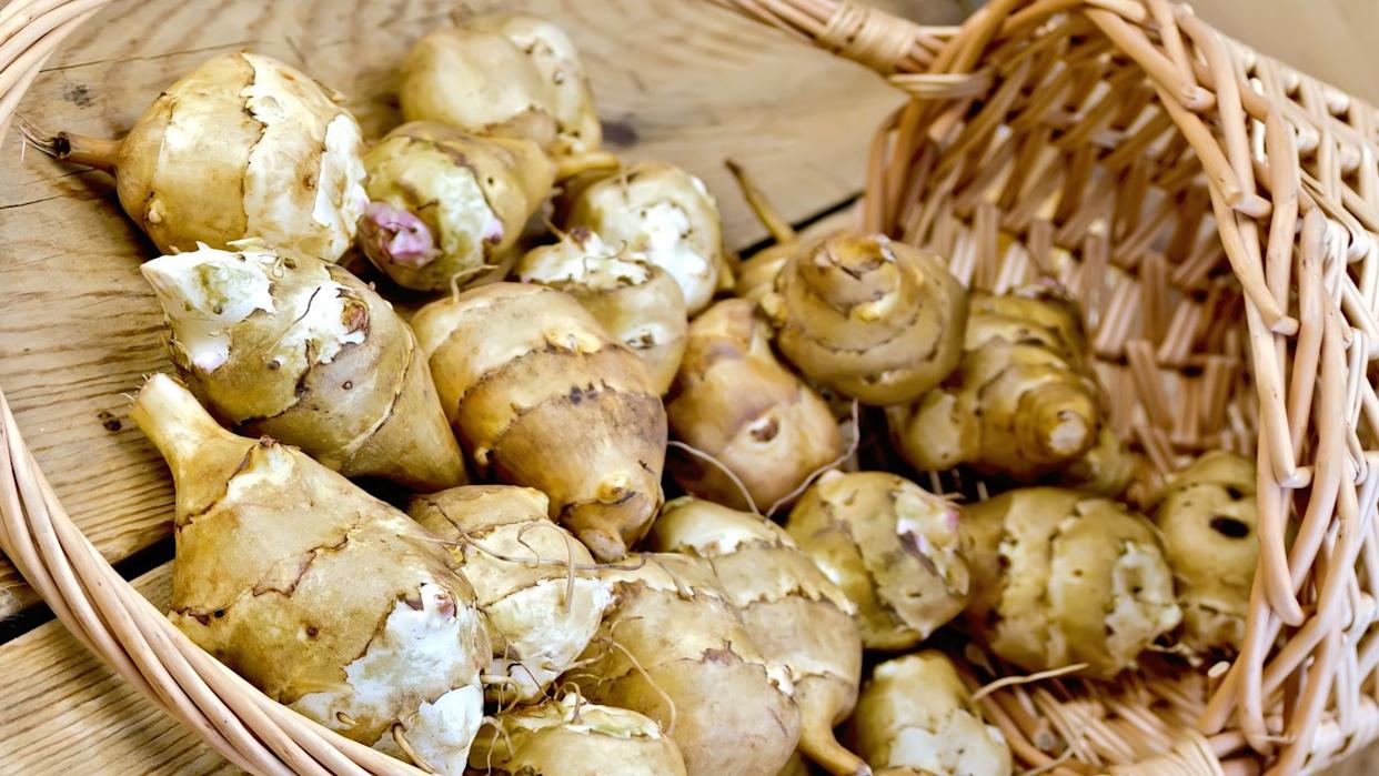 Jerusalem artichokes flowing out of a basket.