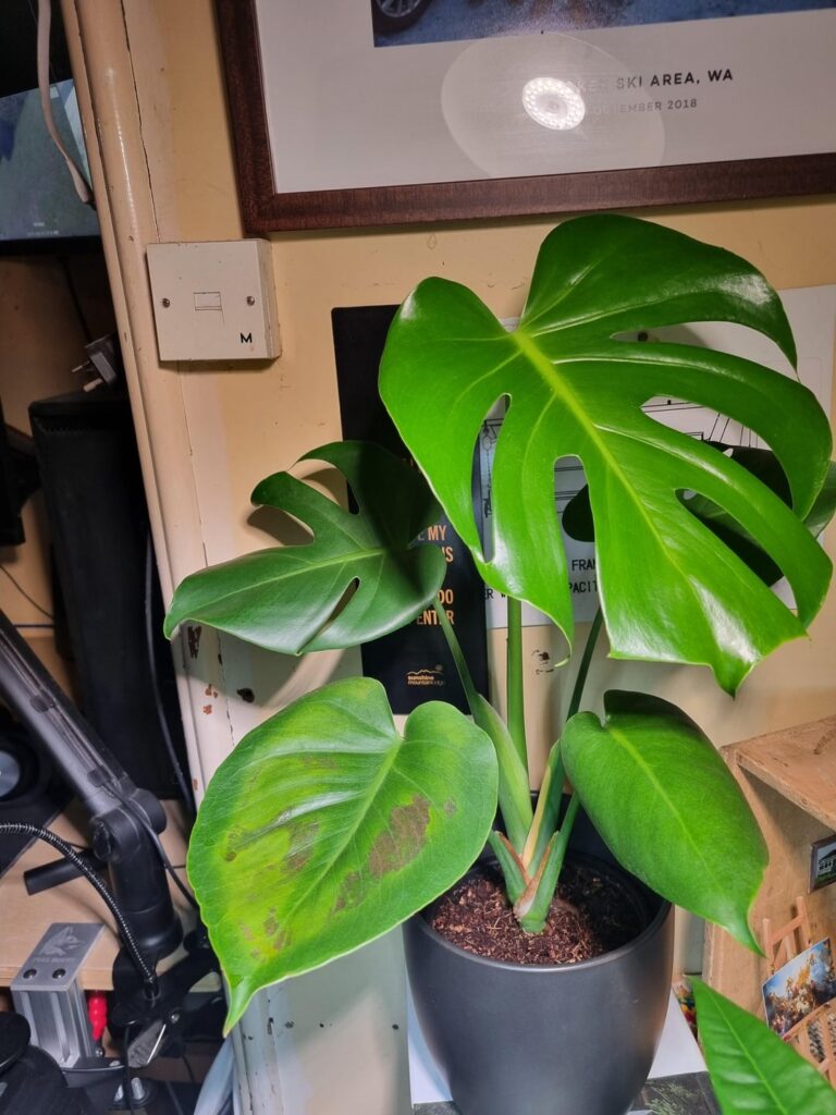 Any ideas what could have caused this?