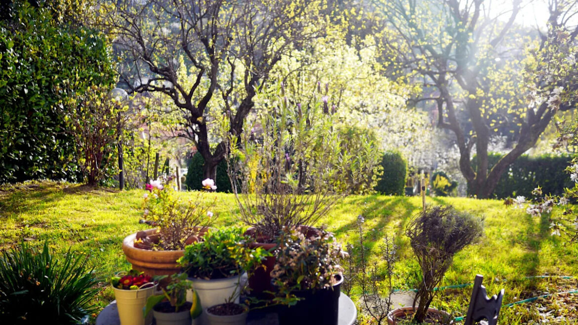 Yahoo lifestyle home