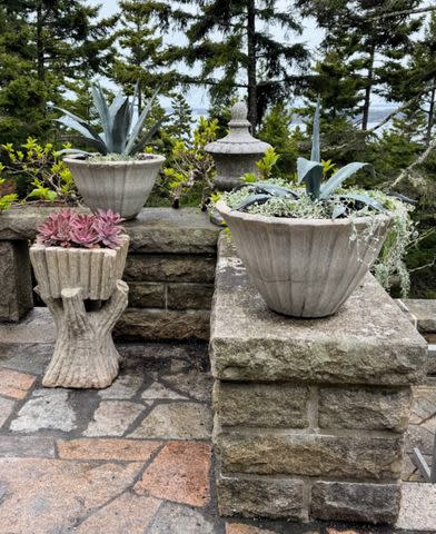 Planters and plantings on Martha's Skylands terrace in MaineCredit: Courtesy of The Martha Blog
