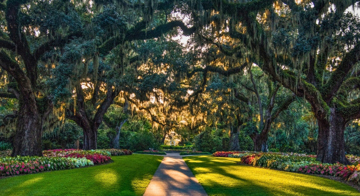 10 Hidden jungle spots inside America’s most beautiful gardens Far & Wide