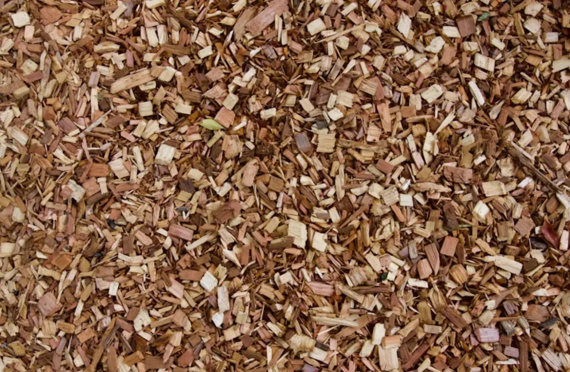 Yahoo lifestyle home