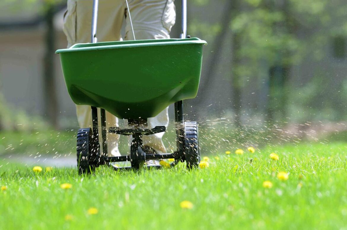 When To Fertilize Your Lawn—And The Mistake To Avoid