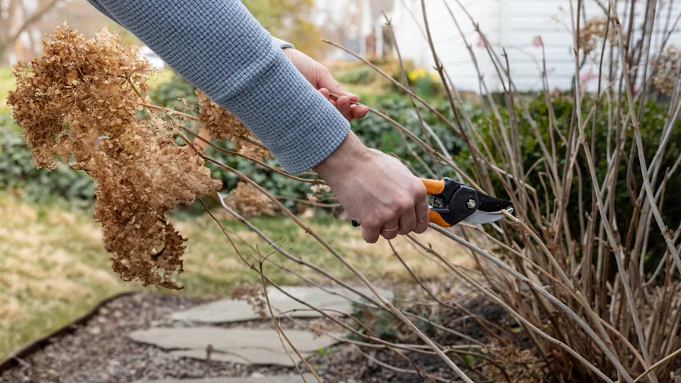 Photo by Greggory DiSalvo on Getty Images