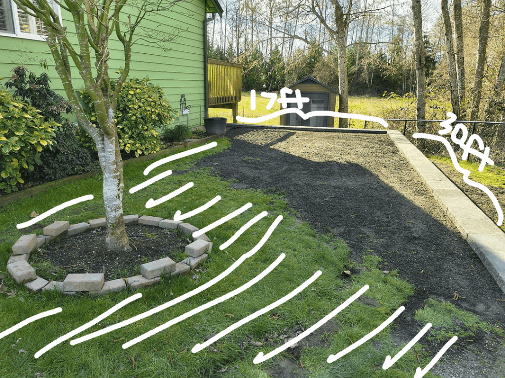 Advise for creating a PNW shade garden