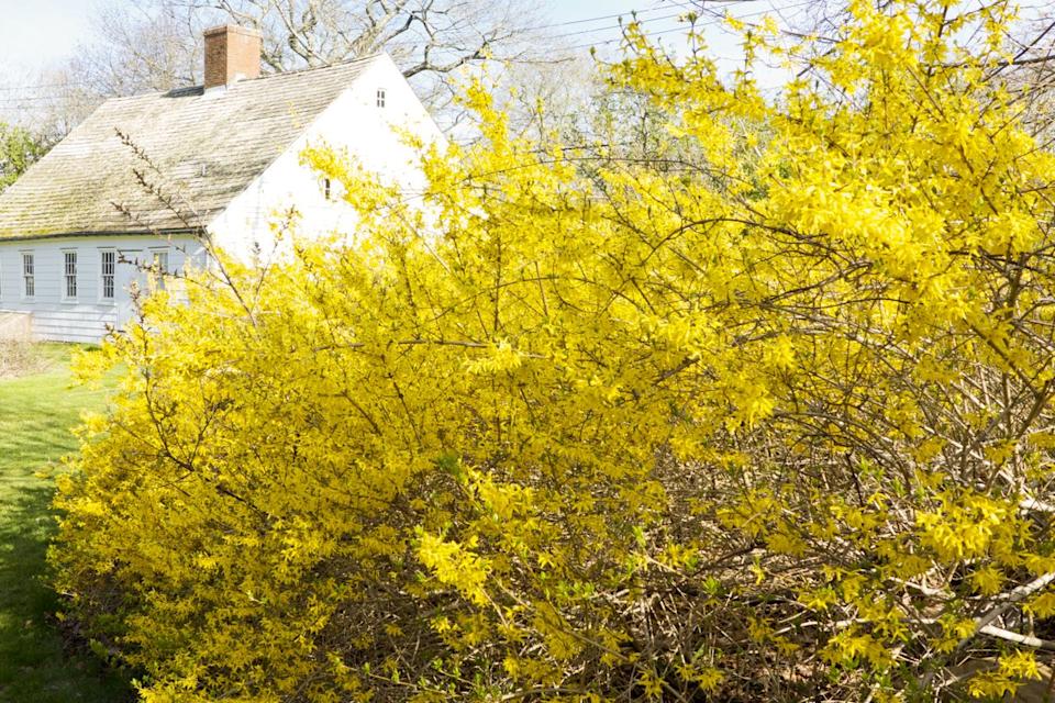 Credit: Beatriz Da Costa