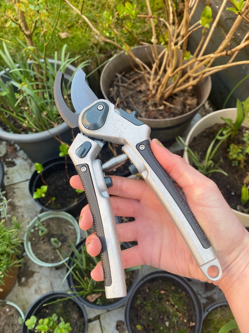 Secateurs review for gardening secateurs in the garden
