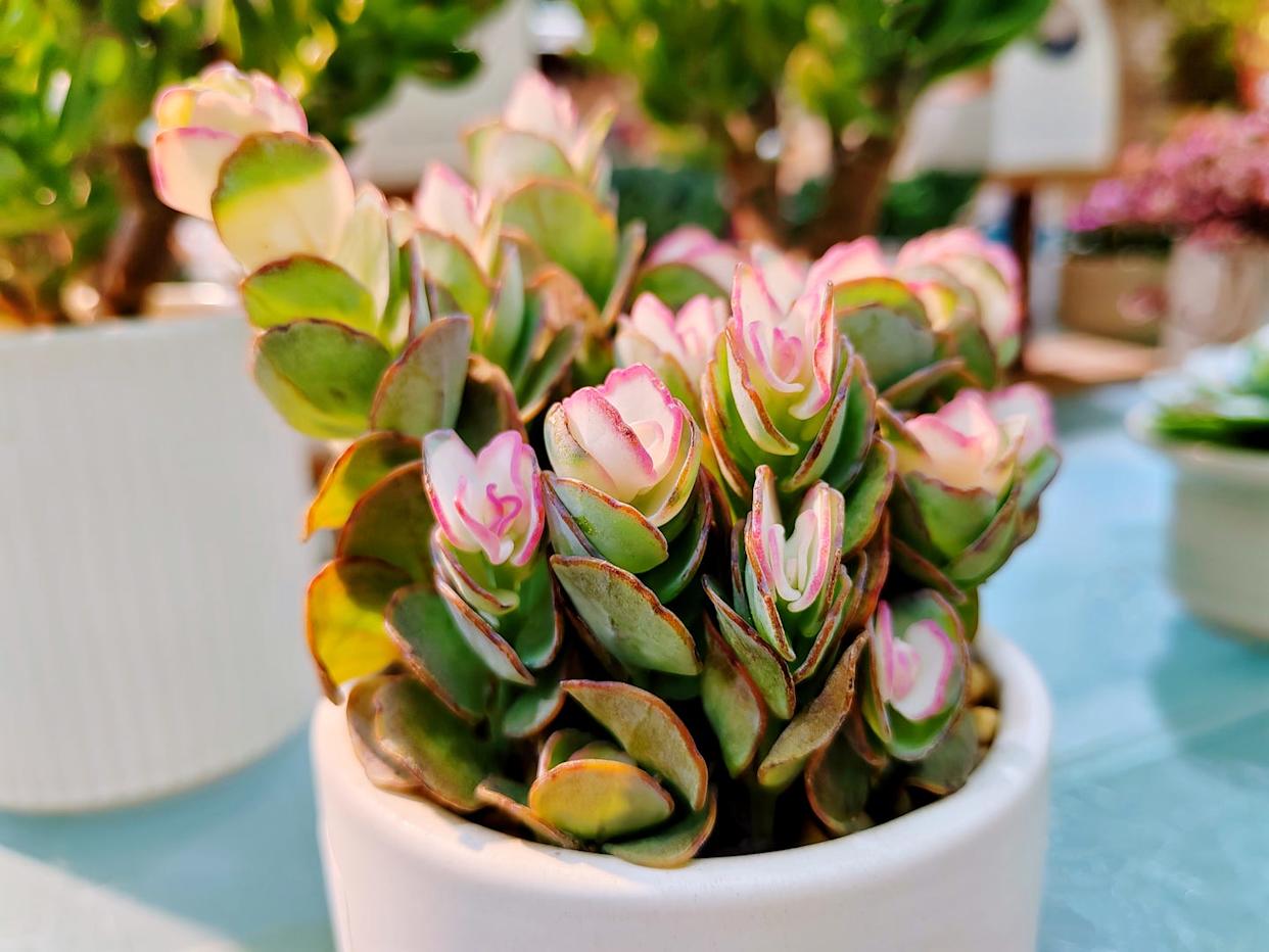 Photo credit: tc397 - Getty Images