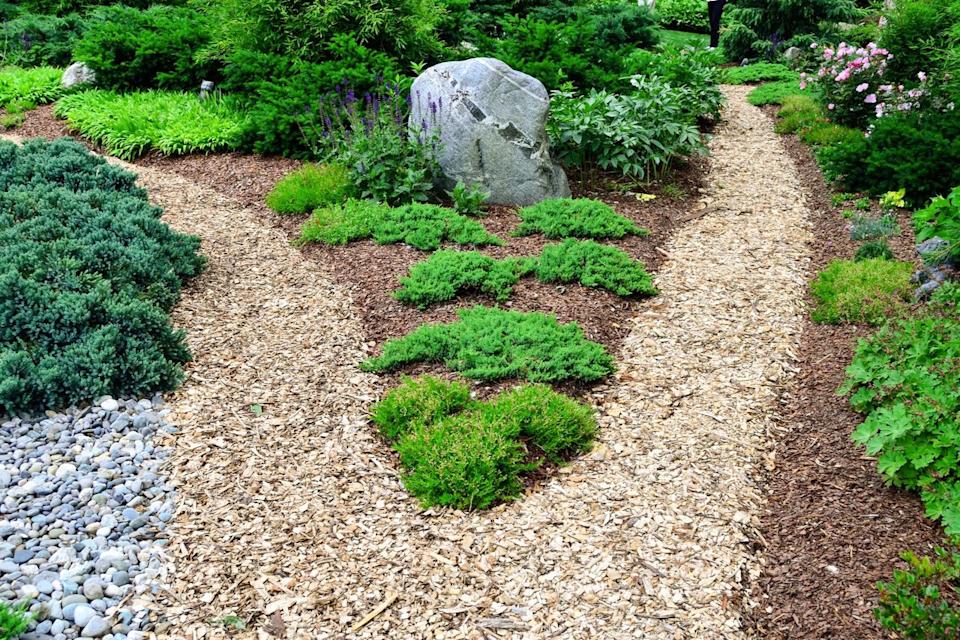 Credit: GETTY IMAGES