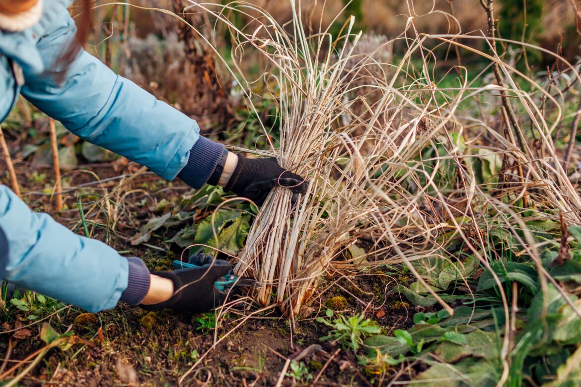 Why You Shouldn’t Start Yard Cleanup Too Early in Spring Why You Shouldn't Start Yard Cleanup Too Early in Spring