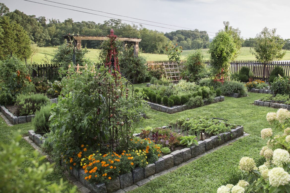 15 Vegetable Garden Trellis Ideas to Boost Harvests