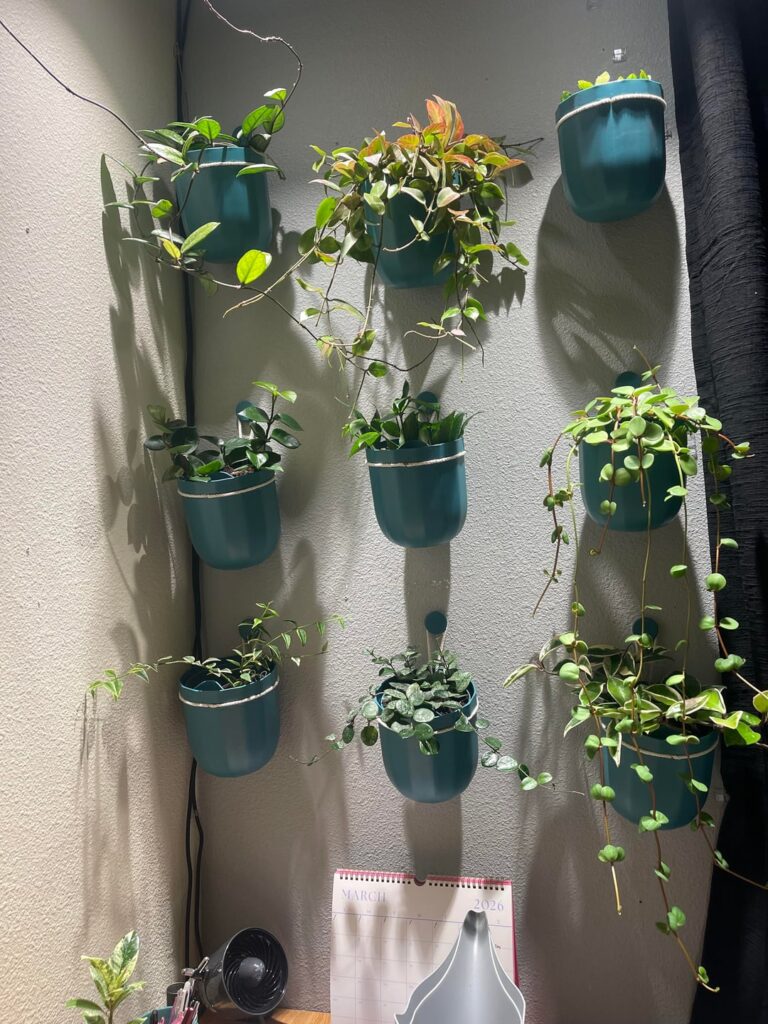 Plant styling……