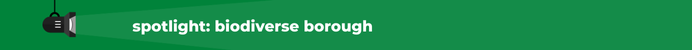 spotlight on biodiverse borough