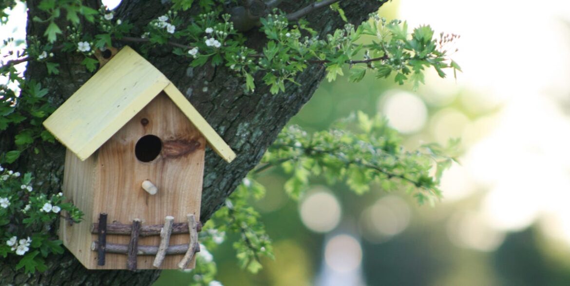 How To Get The Right Nest Box For Your Garden Birds – And The Type To Avoid Completely