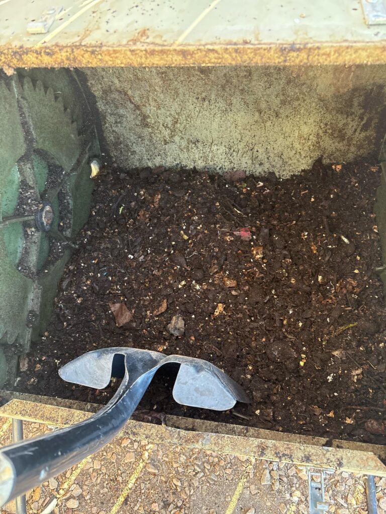 Is this looking healthy? Is this looking healthy?