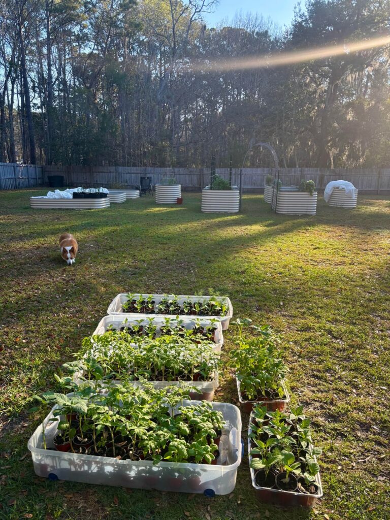 My favorite time of year!