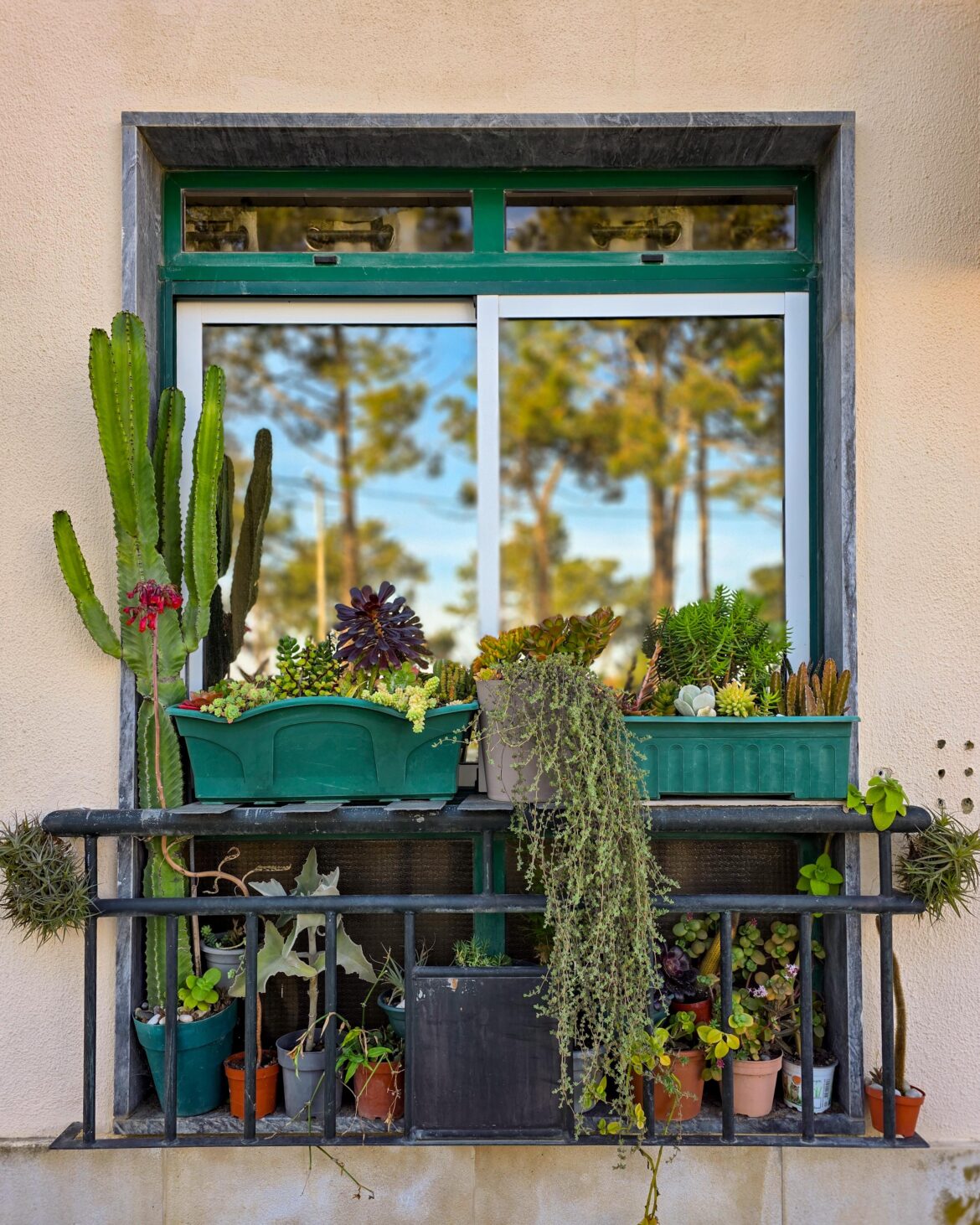This window 🤩
