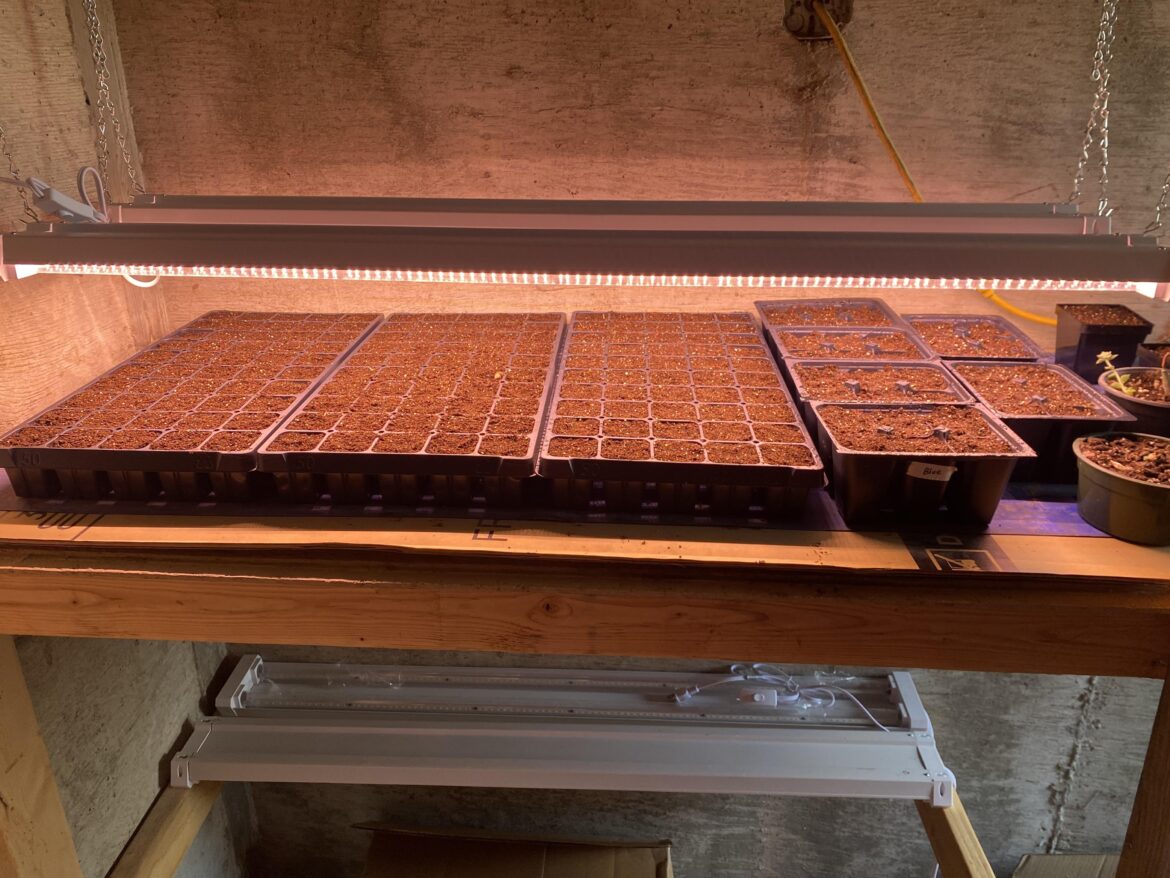 Now it’s a waiting game