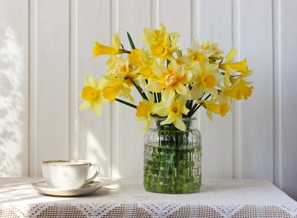 bouquet of yellow daffodils in a glass vase bouquet of yellow daffodils in a glass vase