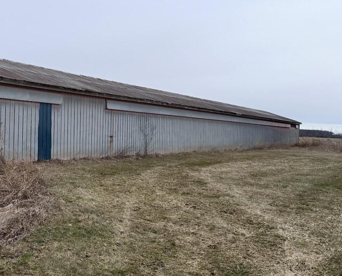 How to fix rusted metal roof on old barn
