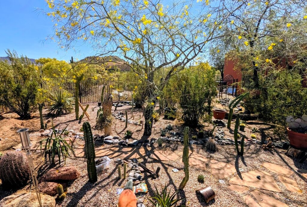 How to water/fertilize trees with cacti around it? How to water/fertilize trees with cacti around it?
